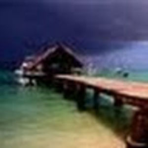 Meet your Posher, Zeke